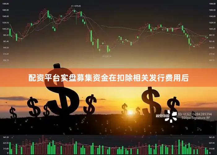 配资平台实盘募集资金在扣除相关发行费用后