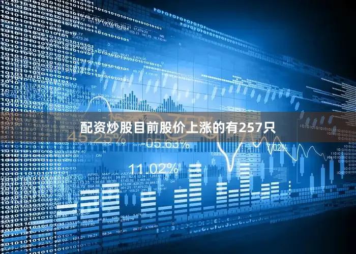 配资炒股目前股价上涨的有257只