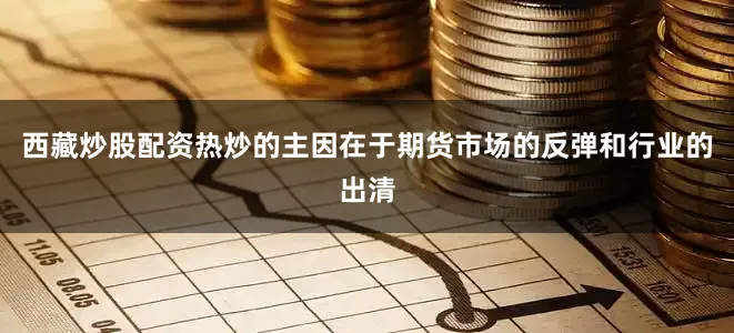 西藏炒股配资热炒的主因在于期货市场的反弹和行业的出清