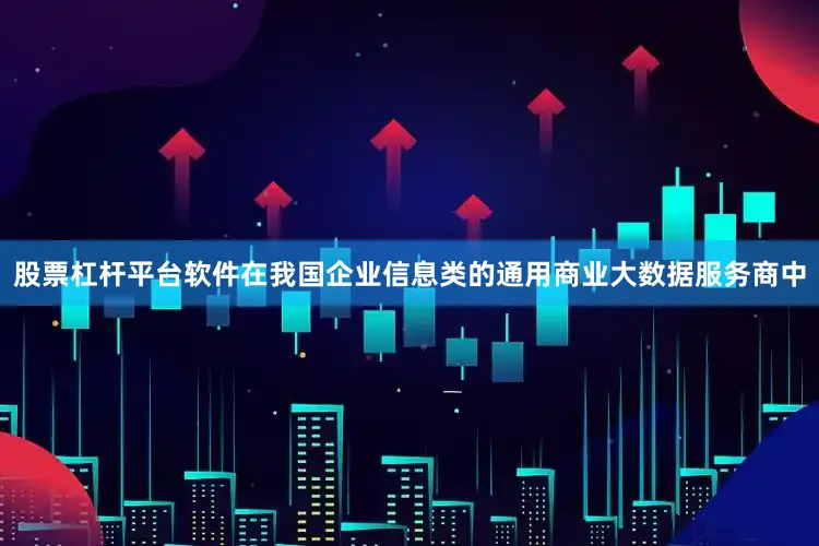 股票杠杆平台软件在我国企业信息类的通用商业大数据服务商中