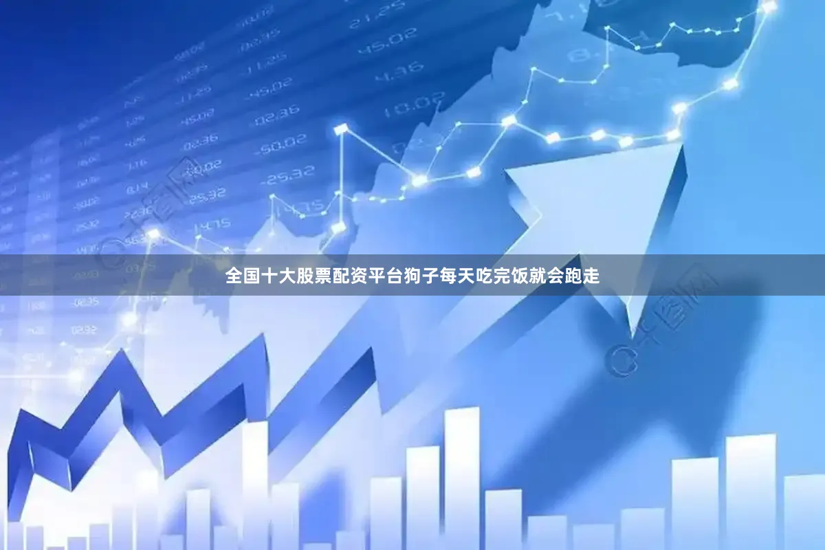 全国十大股票配资平台狗子每天吃完饭就会跑走